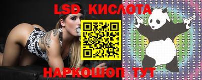 apvp Брянск