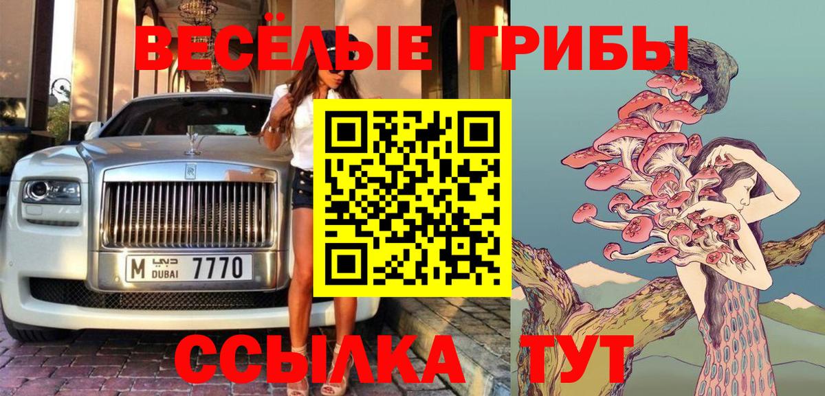 Владивосток  Галлюциногенные грибы Psilocybe  Вход с VPN 