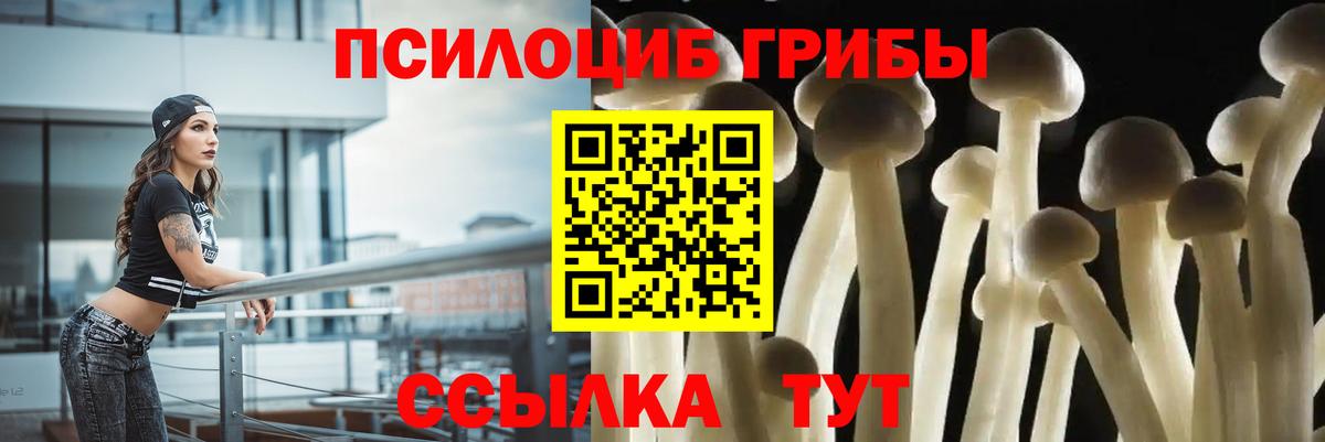 Псилоцибиновые грибы MAGIC MUSHROOMS Владивосток
